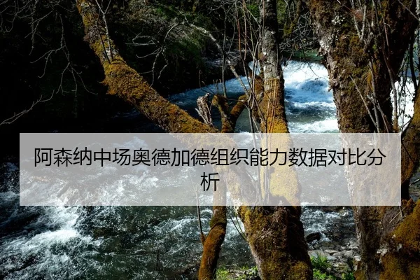 阿森纳中场奥德加德组织能力数据对比分析