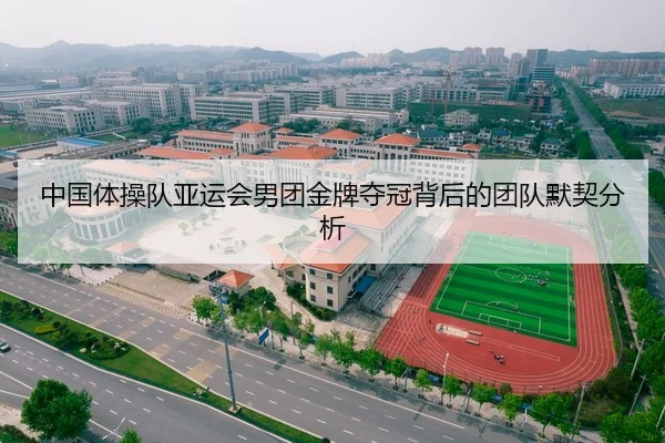 中国体操队亚运会男团金牌夺冠背后的团队默契分析