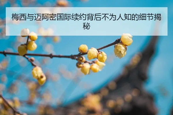 mei-xi-yu-mai-a-mi-guo-ji-xu-yue-bei-hou-bu-wei-ren-zhi-de-xi-jie-jie-mi-2-901.jpg